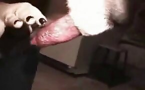 lilibetcasino - handjob, animal sex porn