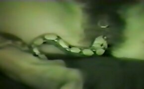 togame.com - sex with animals videos, zoophile and snake orgy
