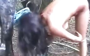 brunette babes zoophils, free zoofilia video