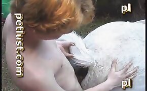 zoophil fucks mare, horny girls with animals